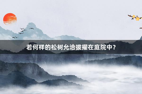 若何样的松树允洽拔擢在庭院中?