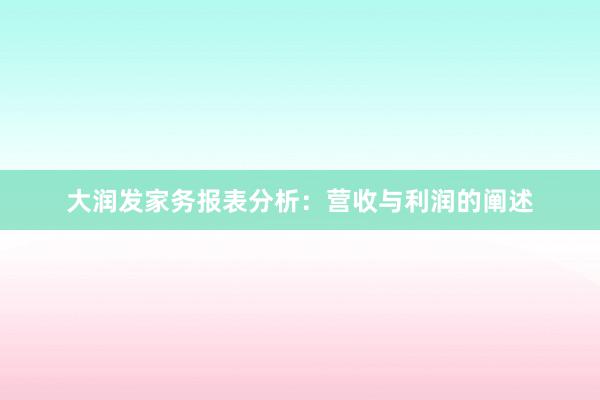 大润发家务报表分析：营收与利润的阐述